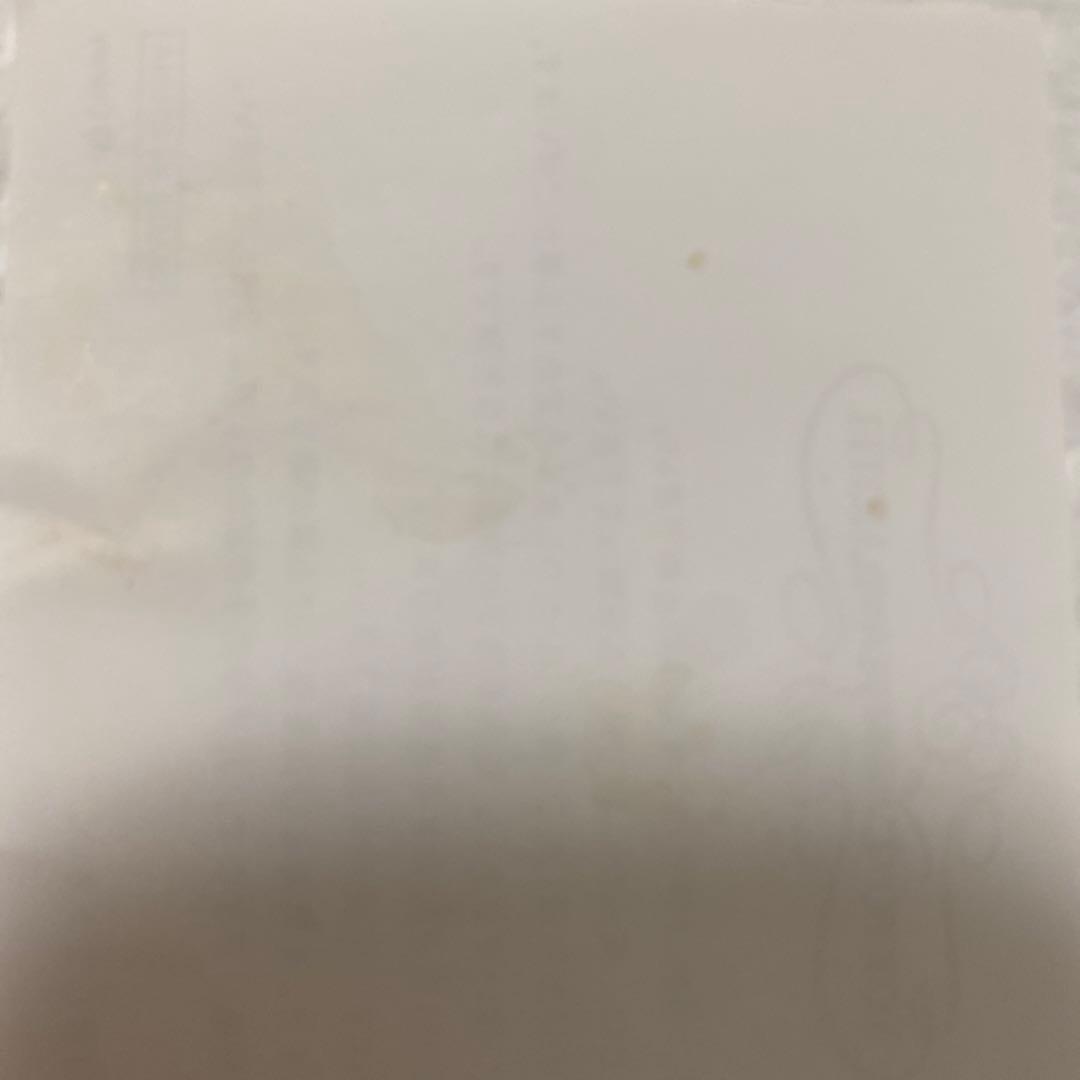 東京ディズニーランドホテル限定　ミッキーマウスブロンズ像