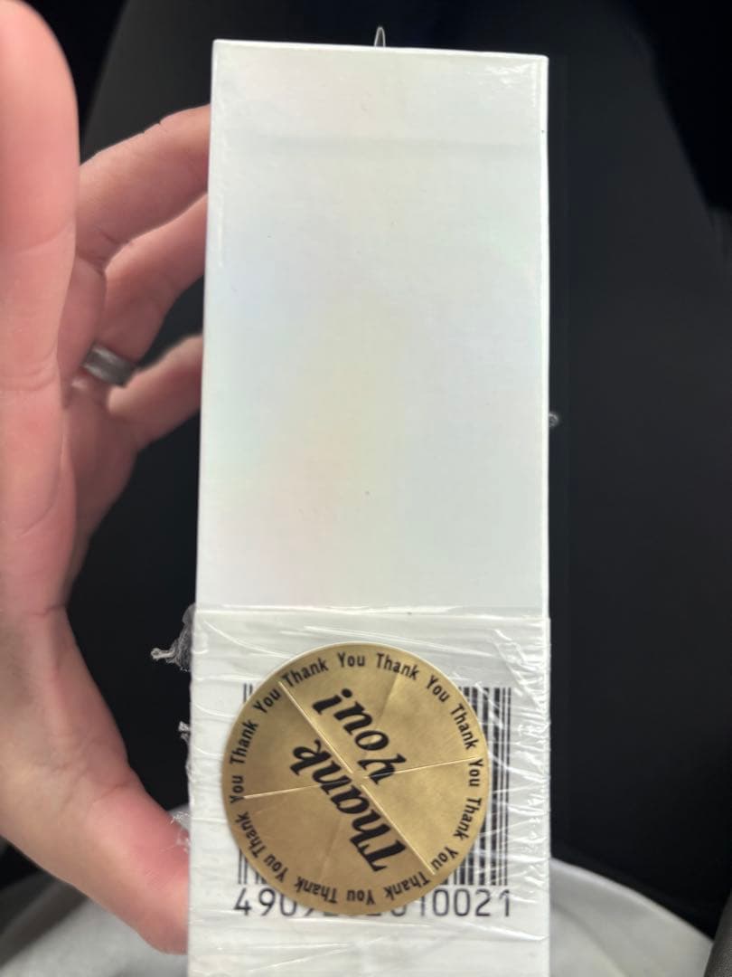 AVIO TE-D01m2 Polar White ワイヤレスイヤホン