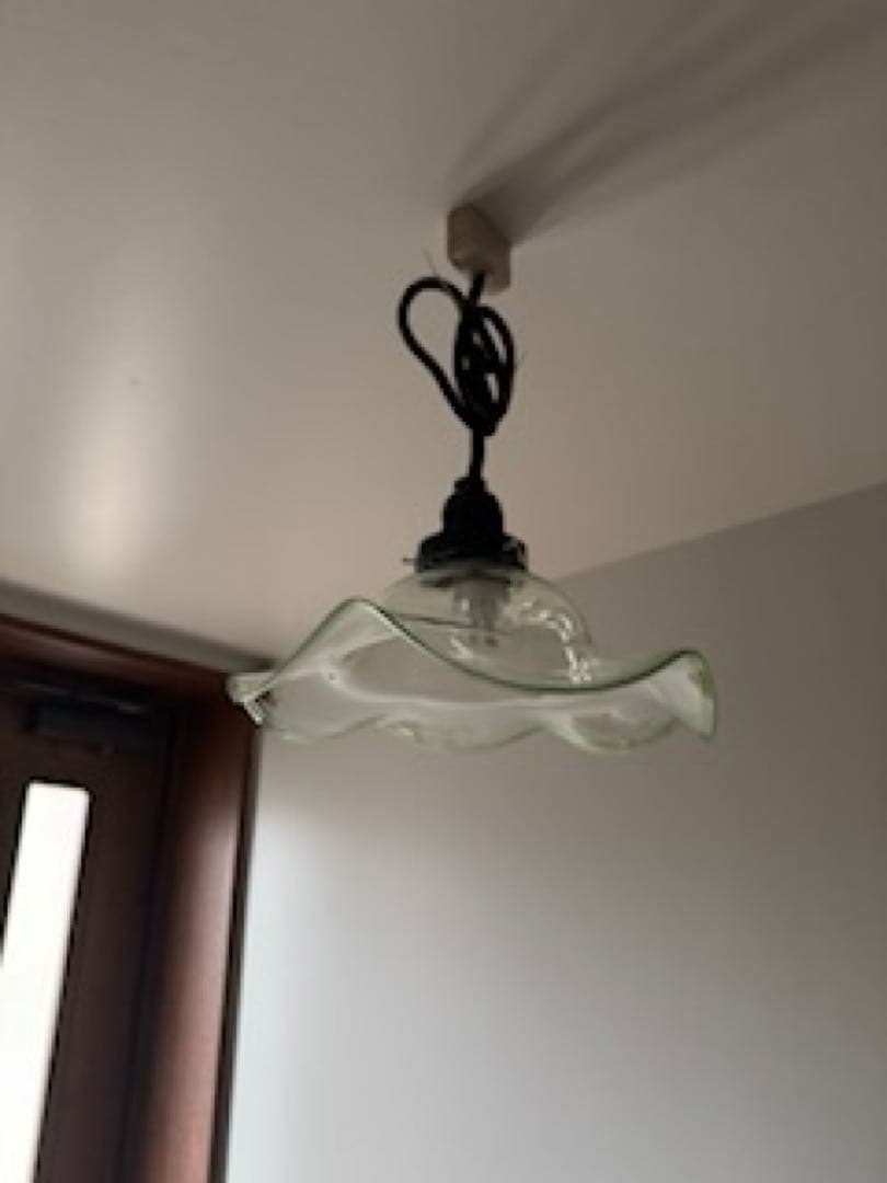 *️⃣プロフ必読！アンティーク 花リム ペンダントライト 透明・緑の縁 ガラス②