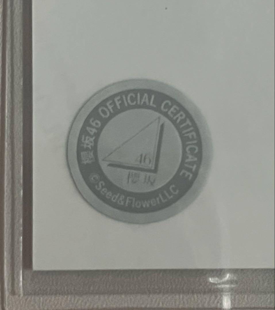 櫻坂46 森田ひかる 2024年 サンタ ヒキ 直筆