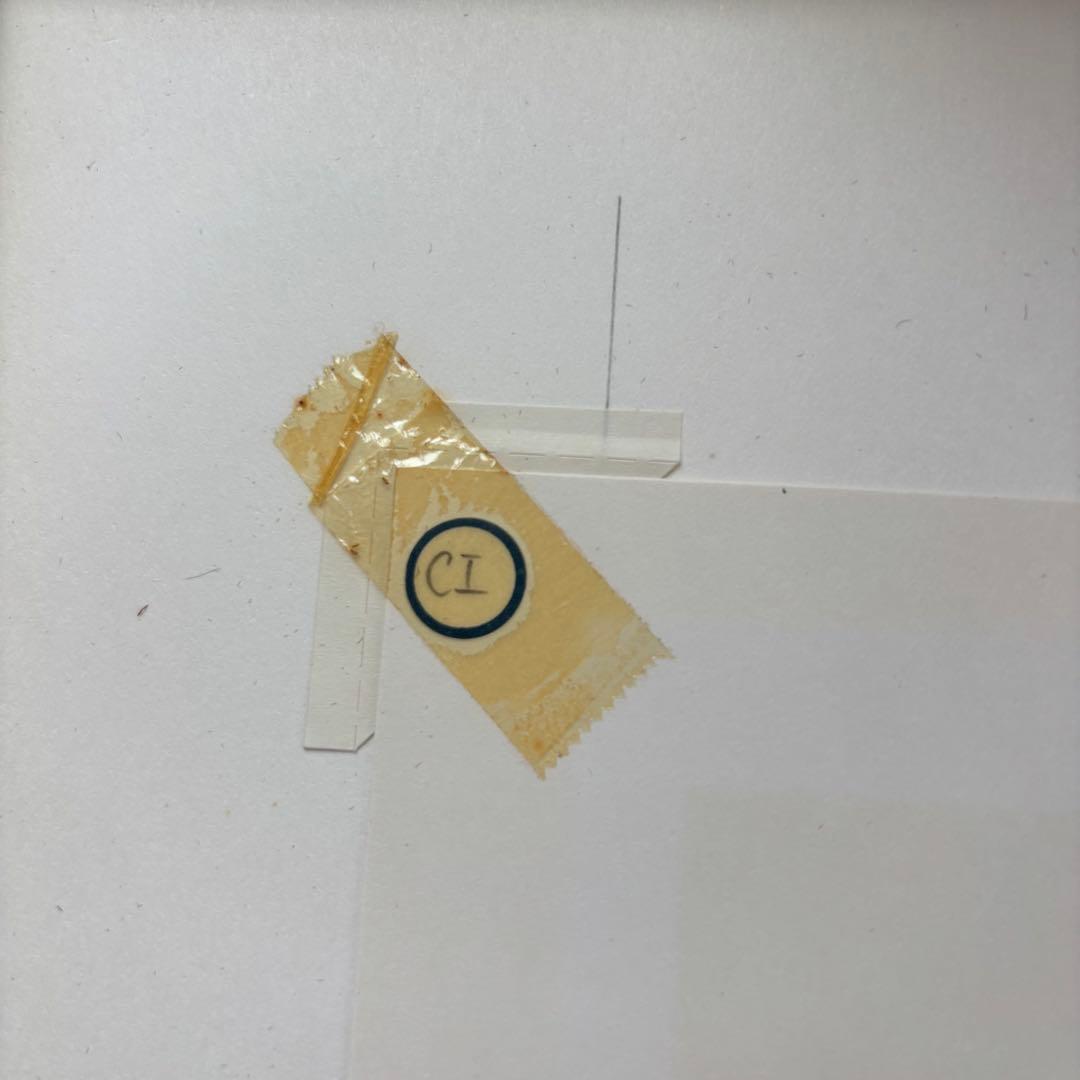 笠井正博氏　シルクスクリーン　「アジアンダムII」1983年作