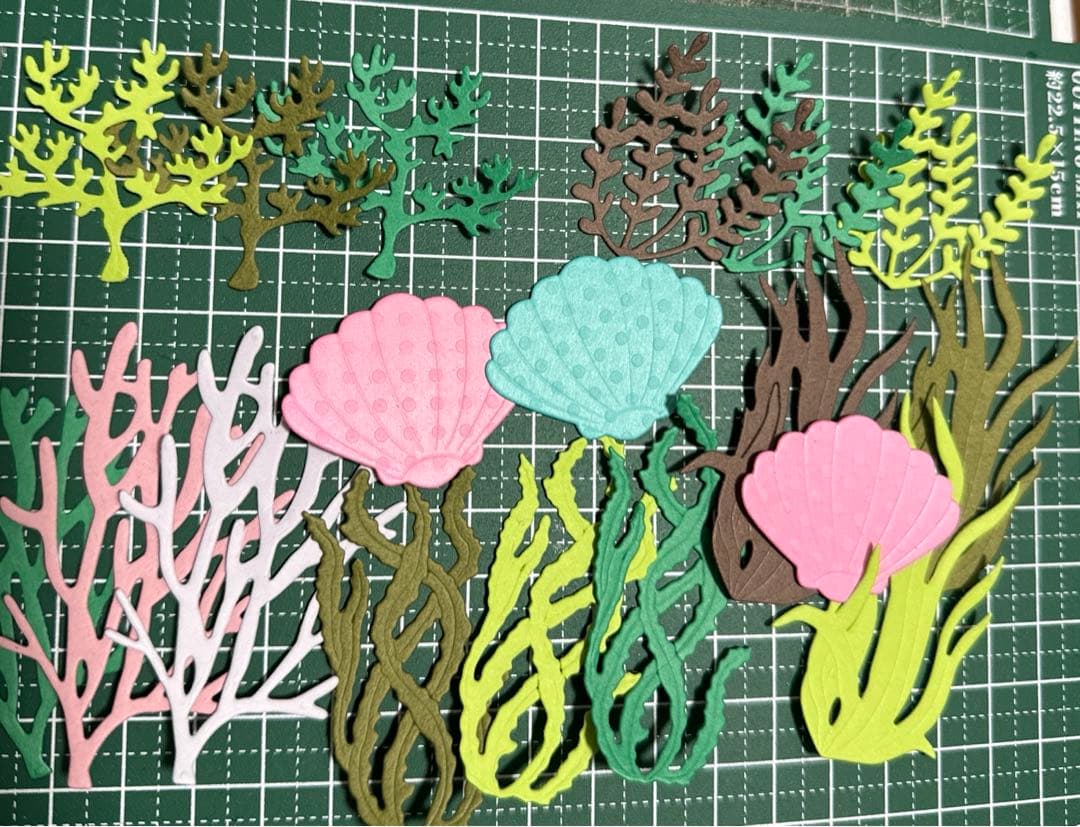 海藻   貝    アルバム  写真素材  ダイカット  クラフトパンチ