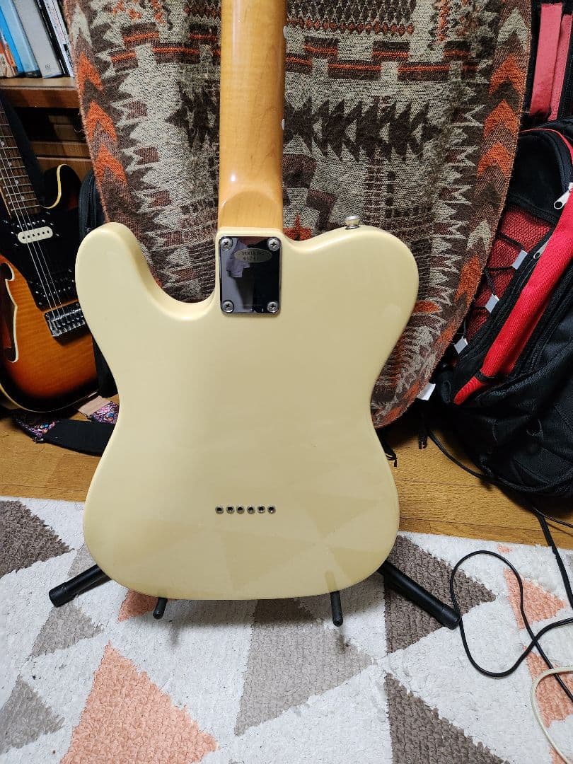 コンポーネントエレキギター、断捨離