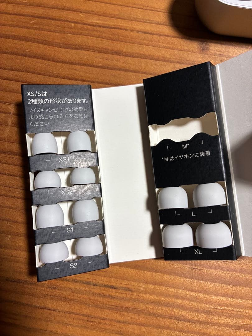 Technics EAH-AZ60M2 ワイヤレスイヤホン シルバー