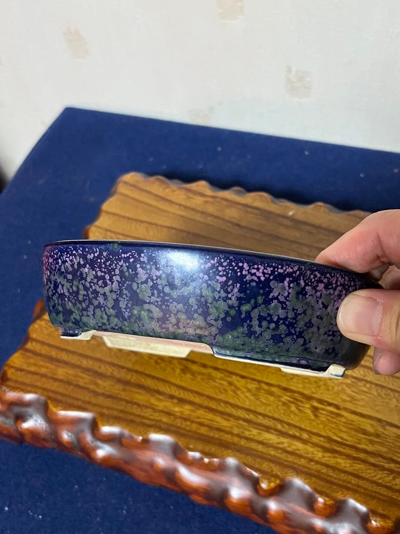 403 盆栽　盆栽鉢　植木鉢　和鉢　碧祥