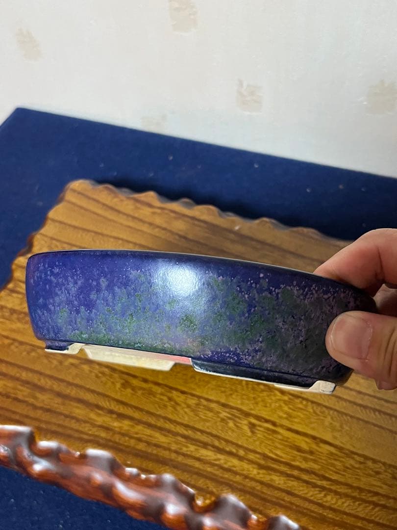 403 盆栽　盆栽鉢　植木鉢　和鉢　碧祥