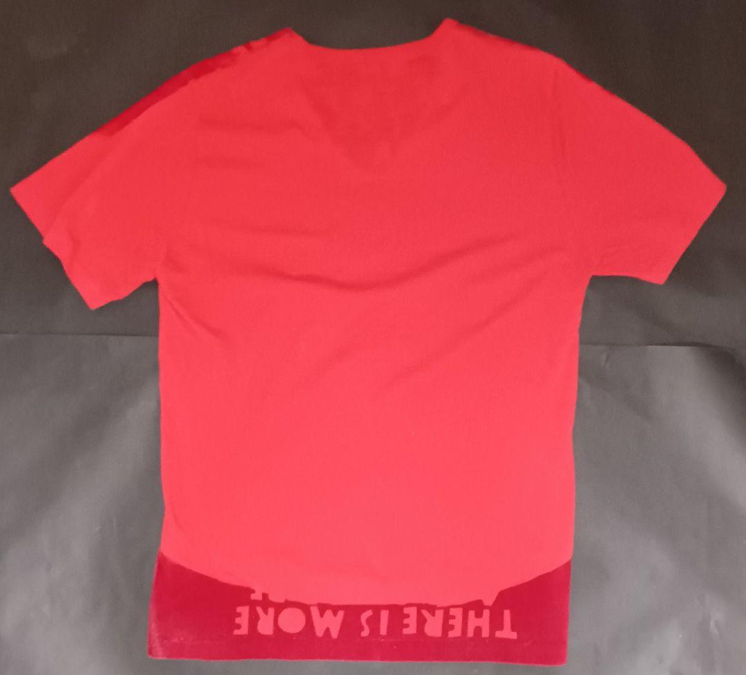 【No.35】ミスチル 桜井着 メゾンマルジェラ 半袖 カットソー 試着のみ