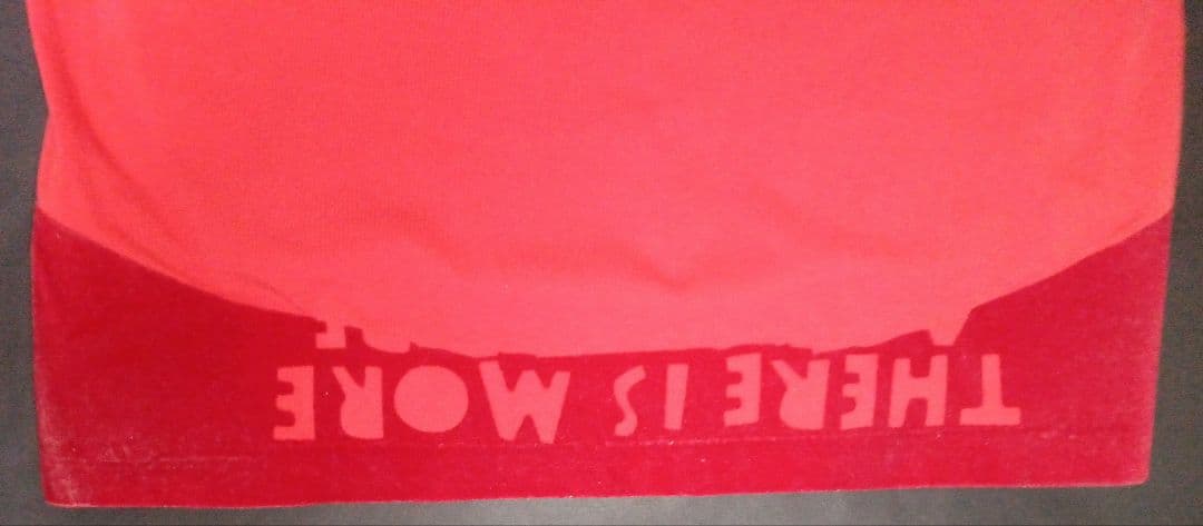 【No.35】ミスチル 桜井着 メゾンマルジェラ 半袖 カットソー 試着のみ