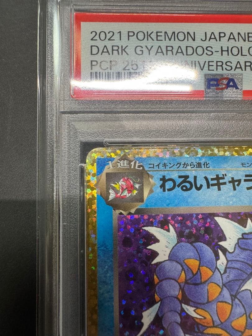 【PSA10】 わるいギャラドス25th