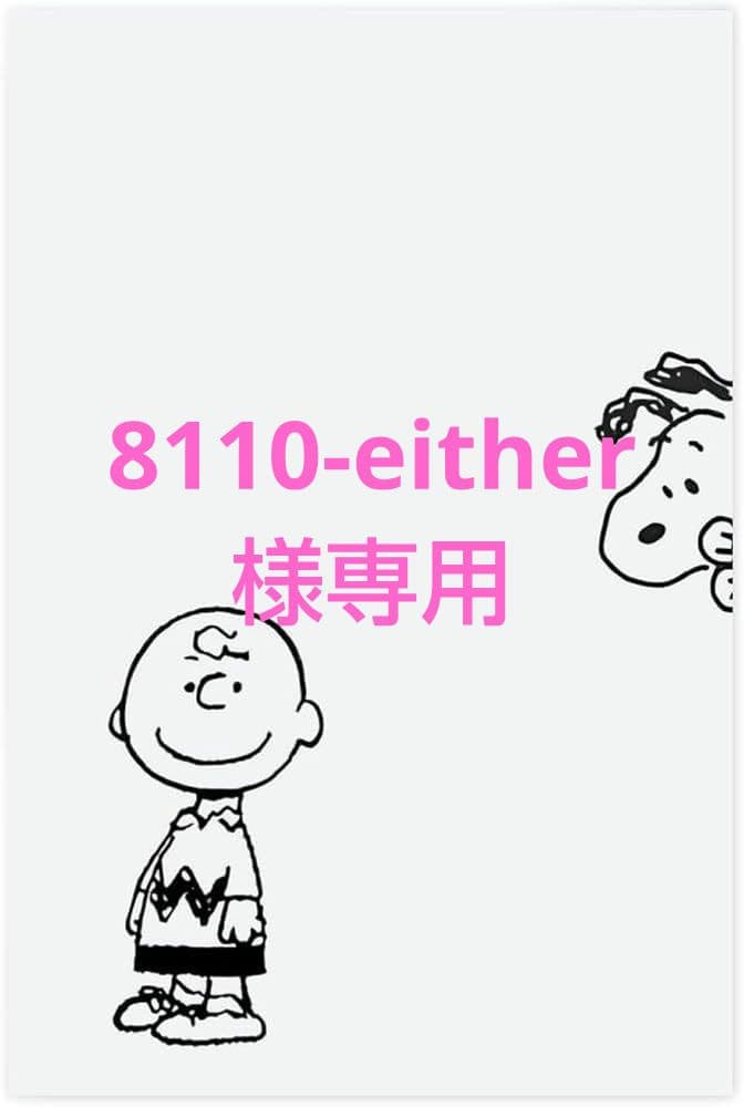 8110-either。ちびぬい用