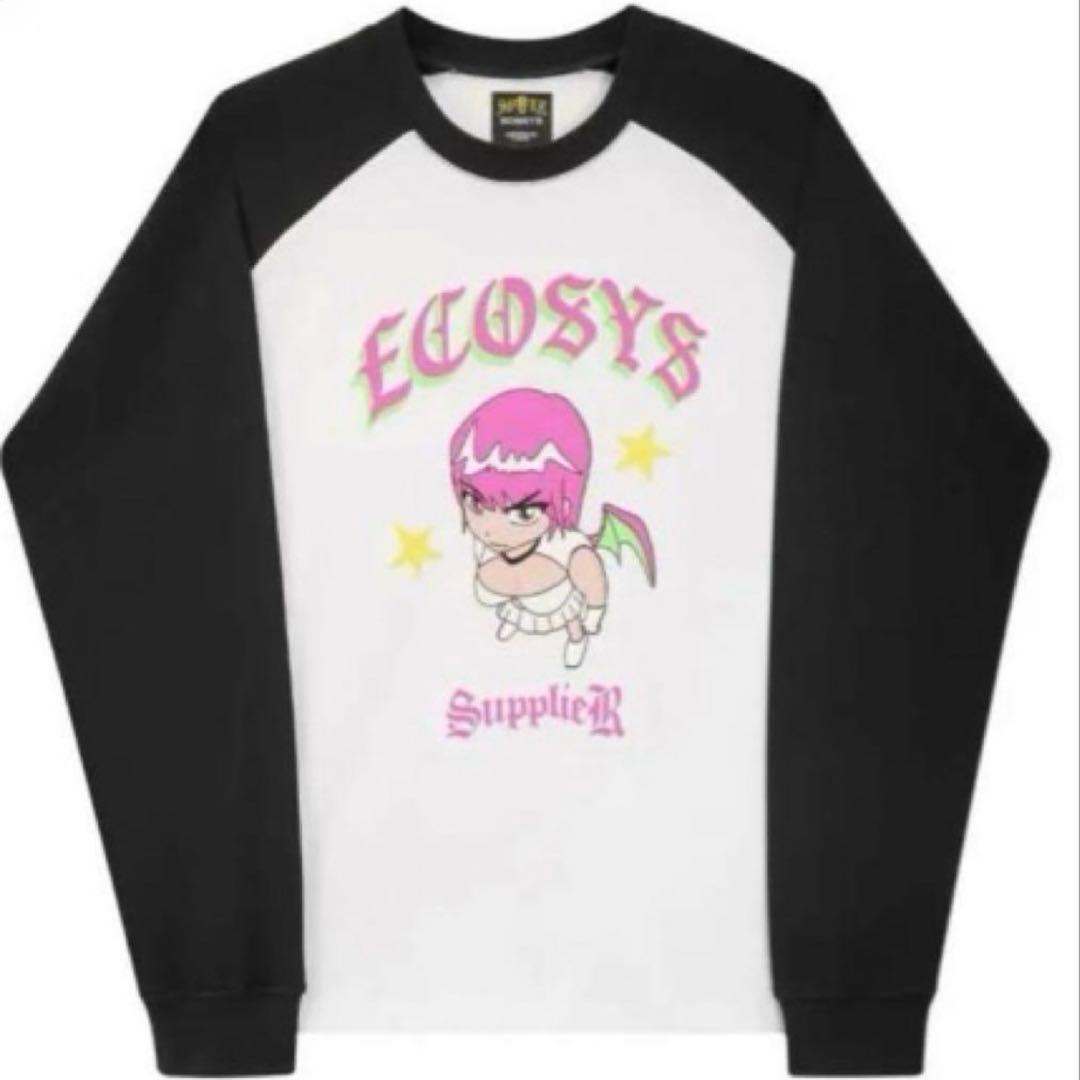 外箱付き supplier ecosys ロングスリーブ Tシャツ Lサイズ