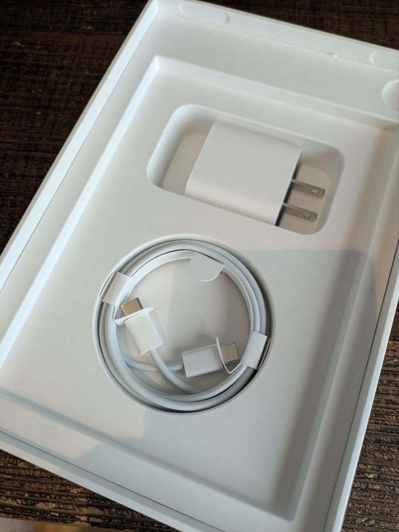 Apple iPad mini6 WiFi 256gb +Pencil　+その他