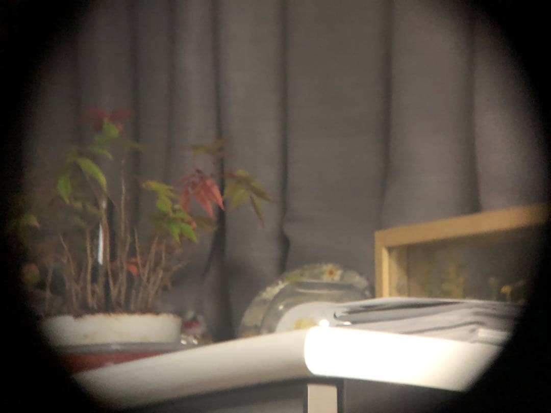 双眼鏡　CARL ZEISS JENA DELTRINTEM 8×30