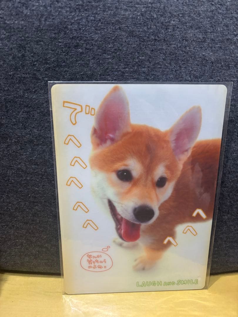 希少平成レトロ柴犬下敷きA5サイズ