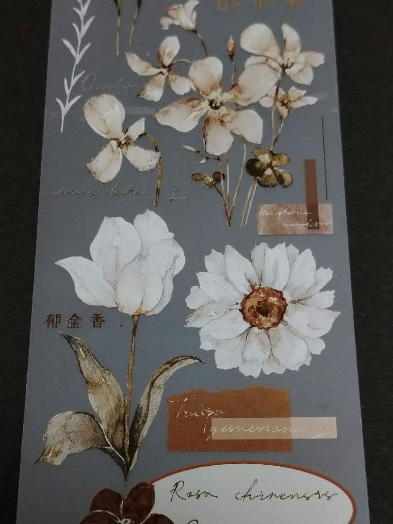 S23＃素白·茶棕(雾面PET)雀斑茶切り売り海外装飾マステ