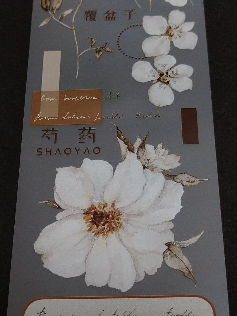 S23＃素白·茶棕(雾面PET)雀斑茶切り売り海外装飾マステ