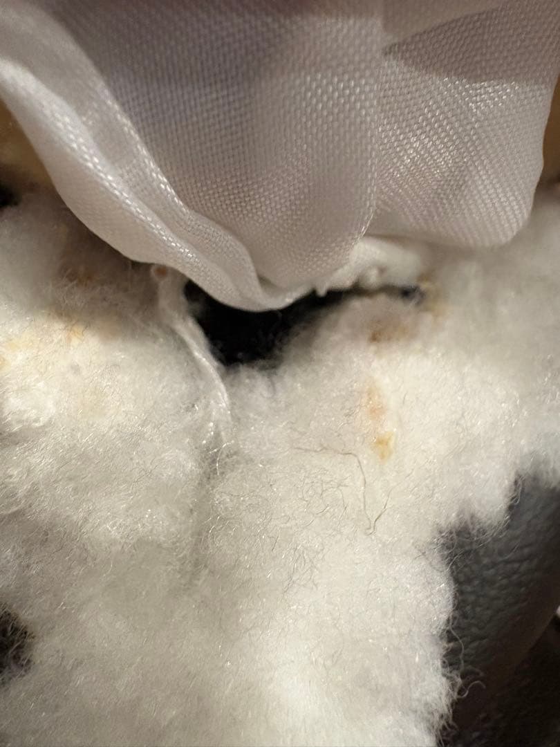 グレイトフルデッドベア　ビーンズ　全25体セット　ネームタグなし