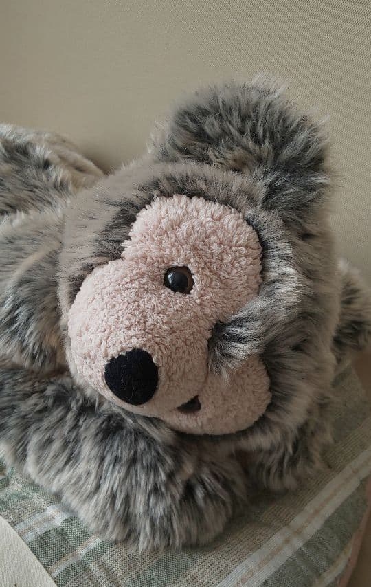 レア☆WDW ディズニー ベア 寝転び ごろ寝 ダッフィー