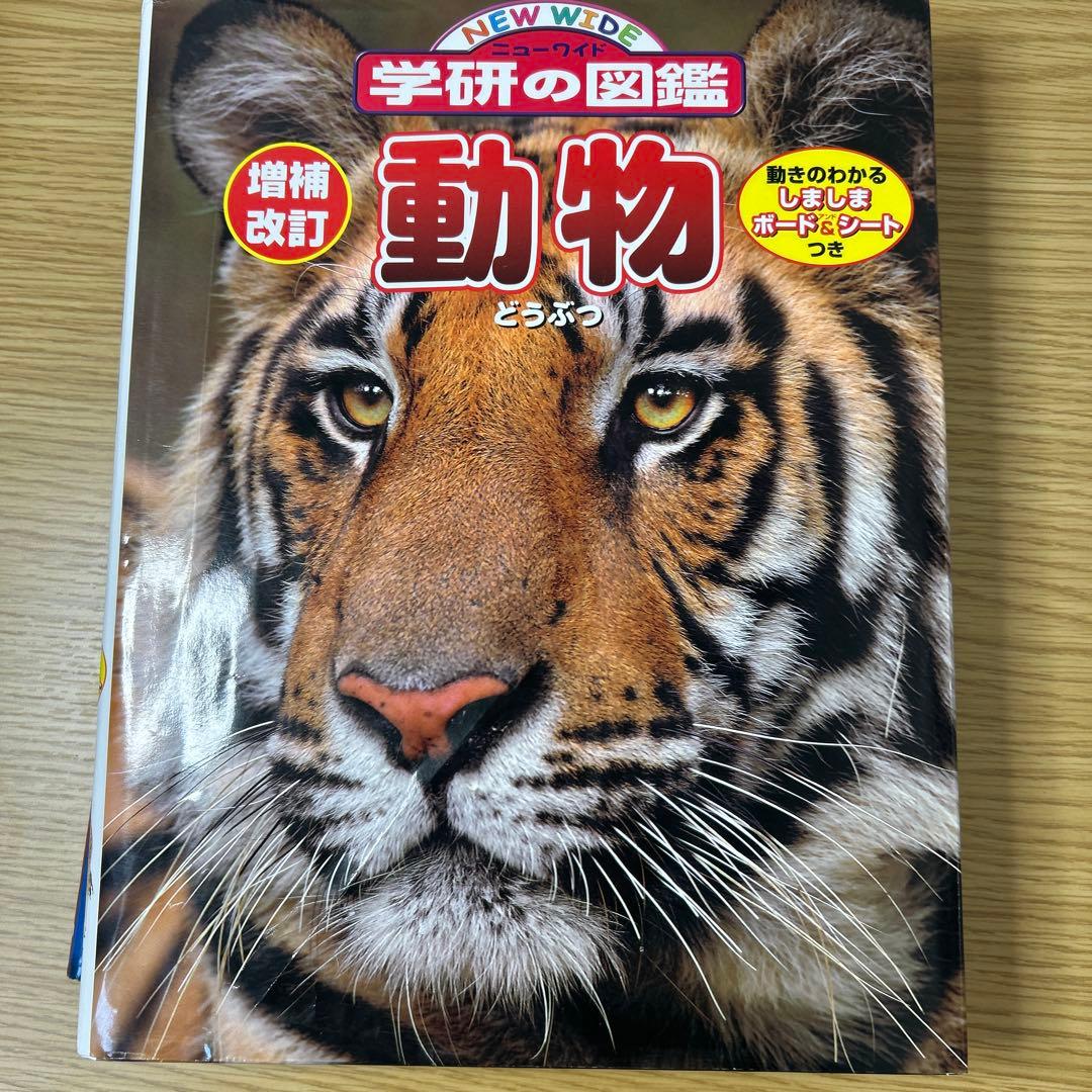 動物図鑑 NEO DVD付き