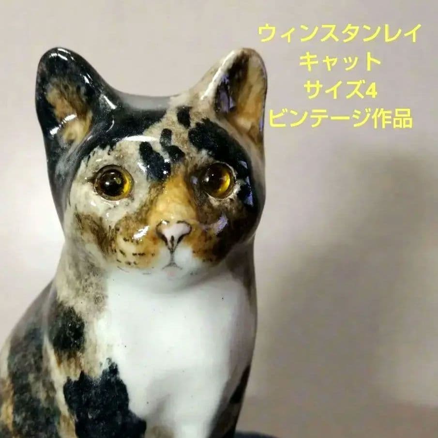 タビー＆ホワイト、ウィンスタンレイキャット（ケンジントンキャット）サイズ4