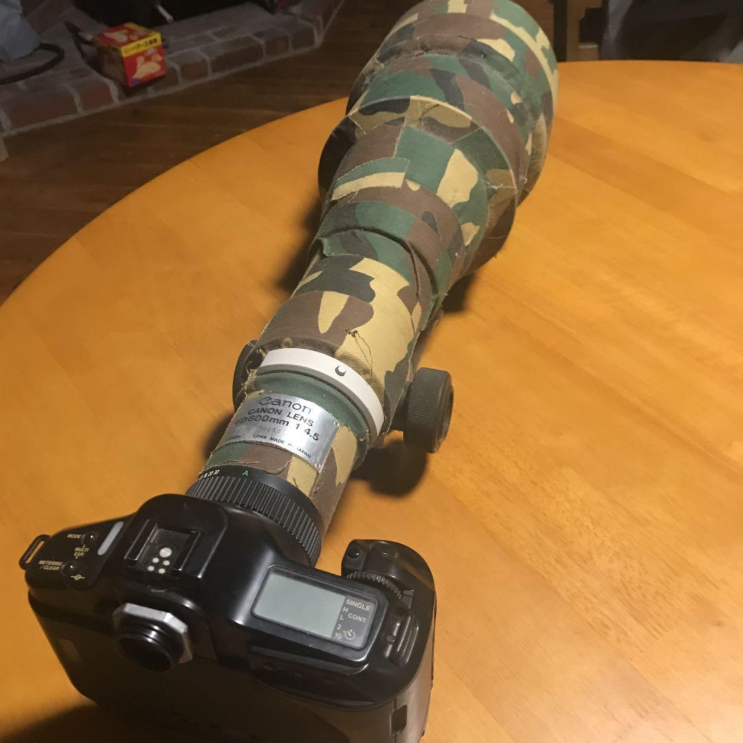 キャノンの望遠レンズです。現在も野鳥撮影に使っています。