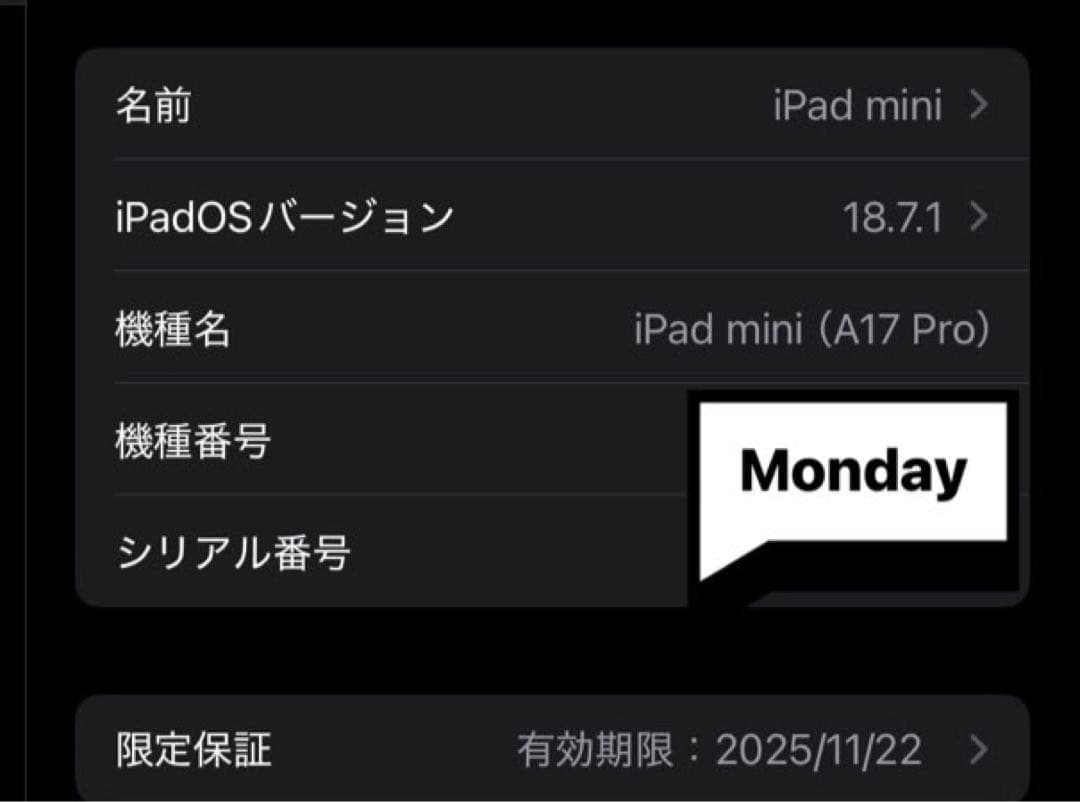 Apple iPad mini 第7世代　シルバー 本体 + ケース