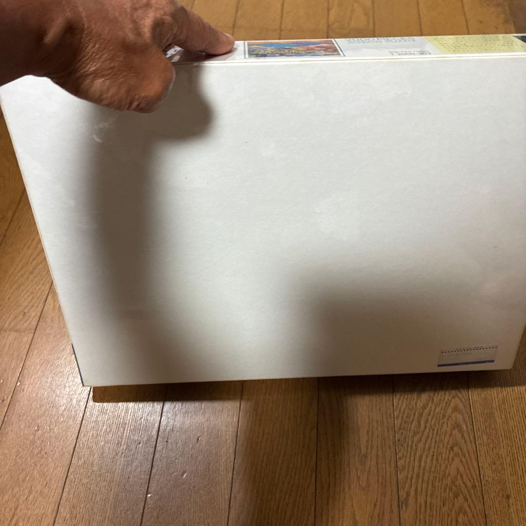 ‼️超希少ジェニファー・マークス作の「ENDLESS SUMMER」ジグソーパズル