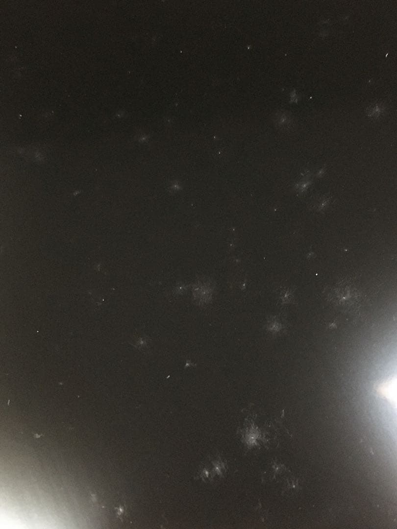 S374輪島塗 脚付会席膳 懐石膳 5客揃 蔦屋 大工治太郎