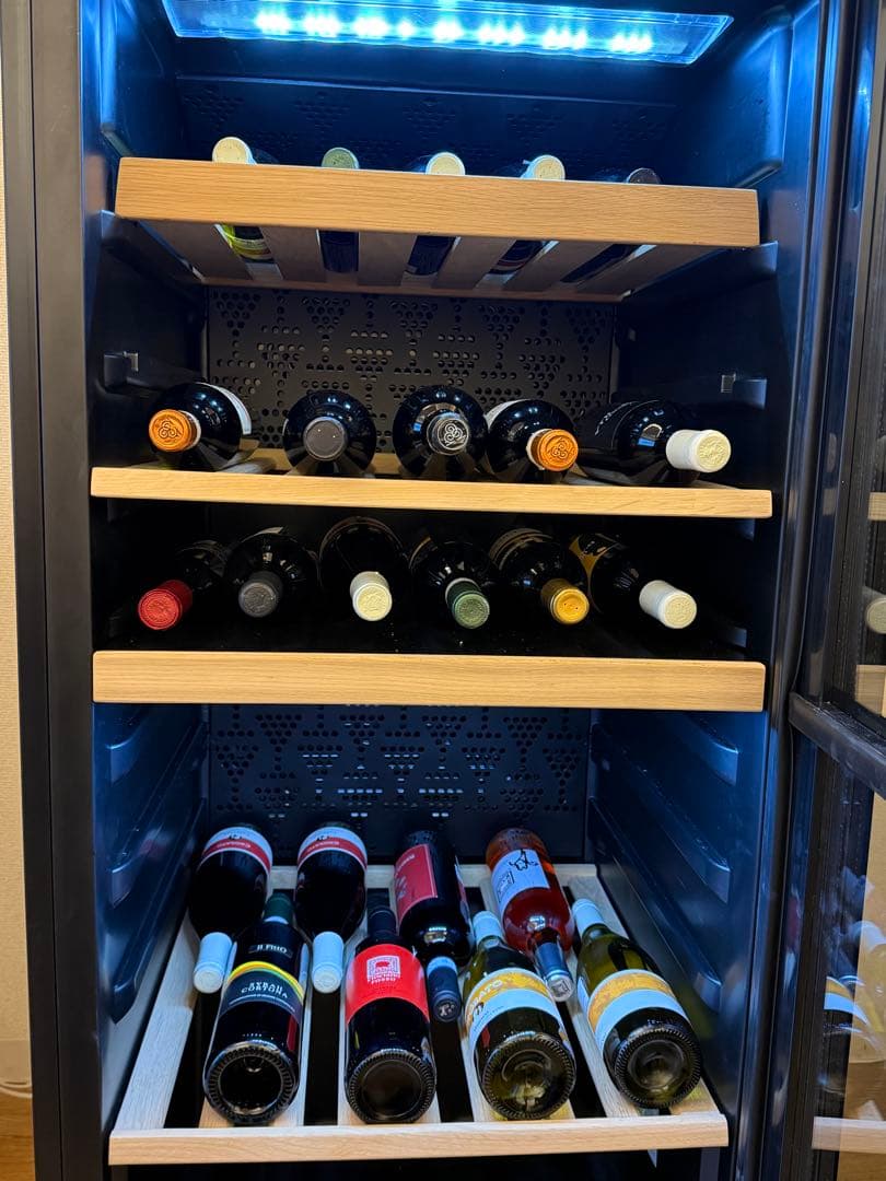 ワインセラー フォルスター デュアル FJN-210G 82本 温度2段階