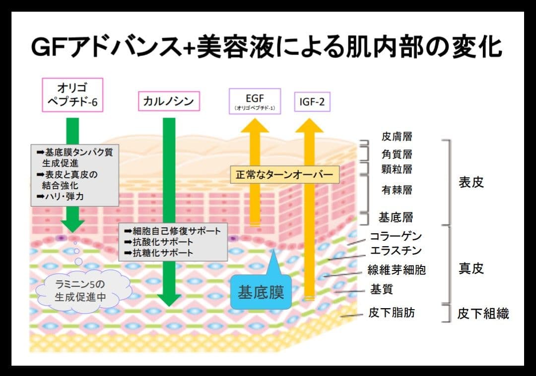 【本物】アクシージア☆GFチャージアドバンス☆美容液導入美肌艶肌水光注射エステ