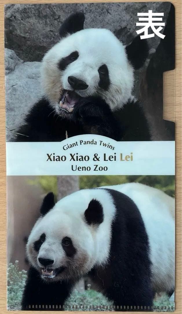 【新品未開封】上野動物園　親子パンダぬいぐるみ　シンシン　シャオシャオ　レイレイ