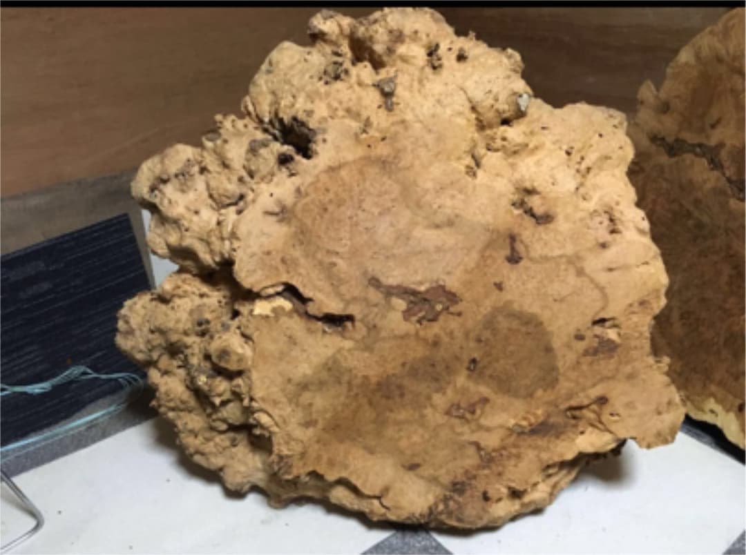 天然木 コブテーブル 看板 工芸