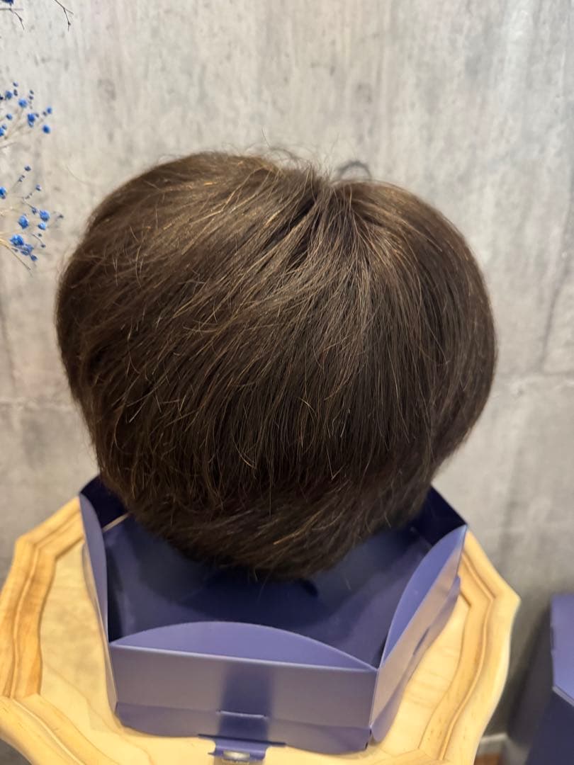 (41) FONTAINE MS 08 F4 フルウィッグ フォンテーヌ