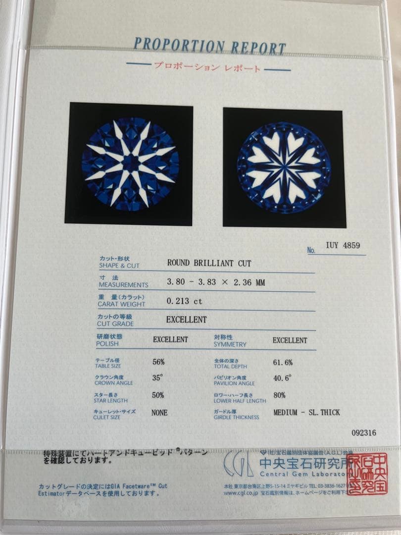 ビジュピコ　ポルターダ　ダイヤモンドリング　5号
