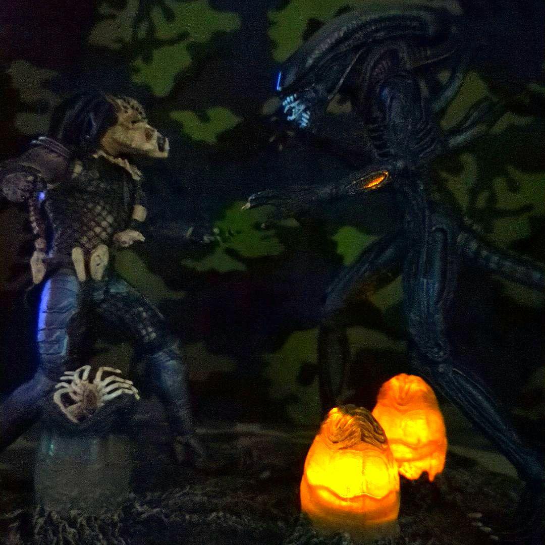 McFARLANE TOYS／エイリアン& プレデター 【中古•箱別売】♦品薄品