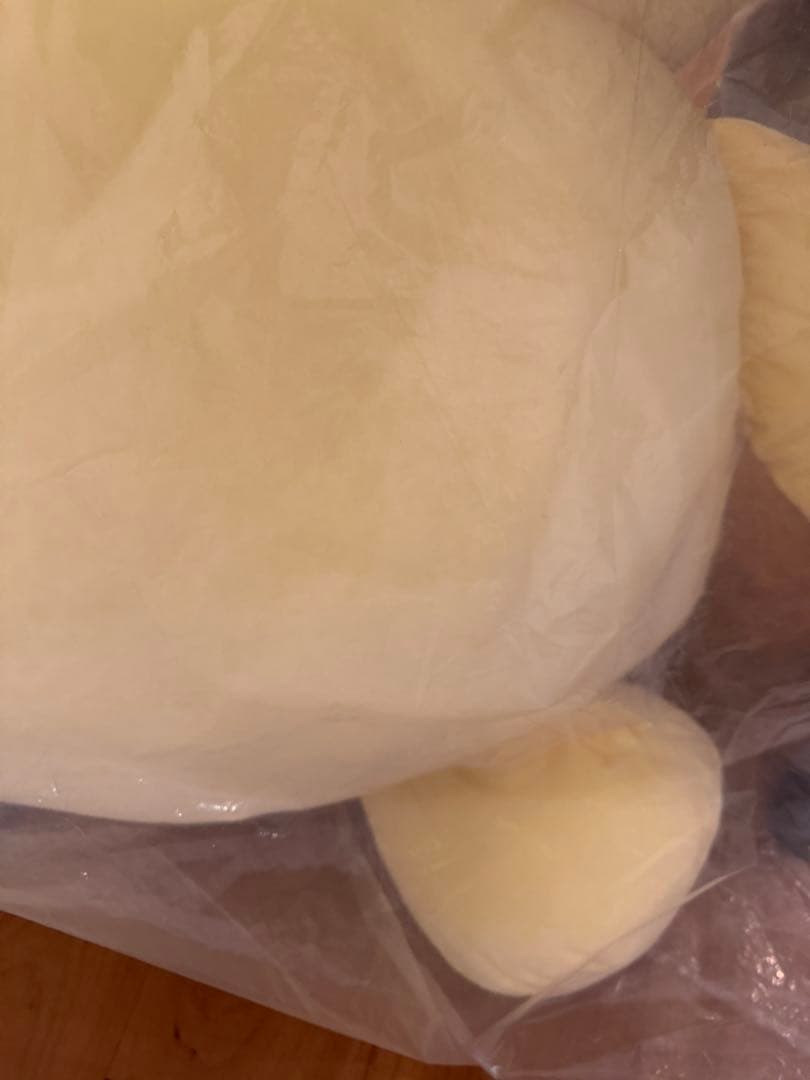 ❗️美品　毎日値下げ❗️すべてを受け入れるポムポムプリン