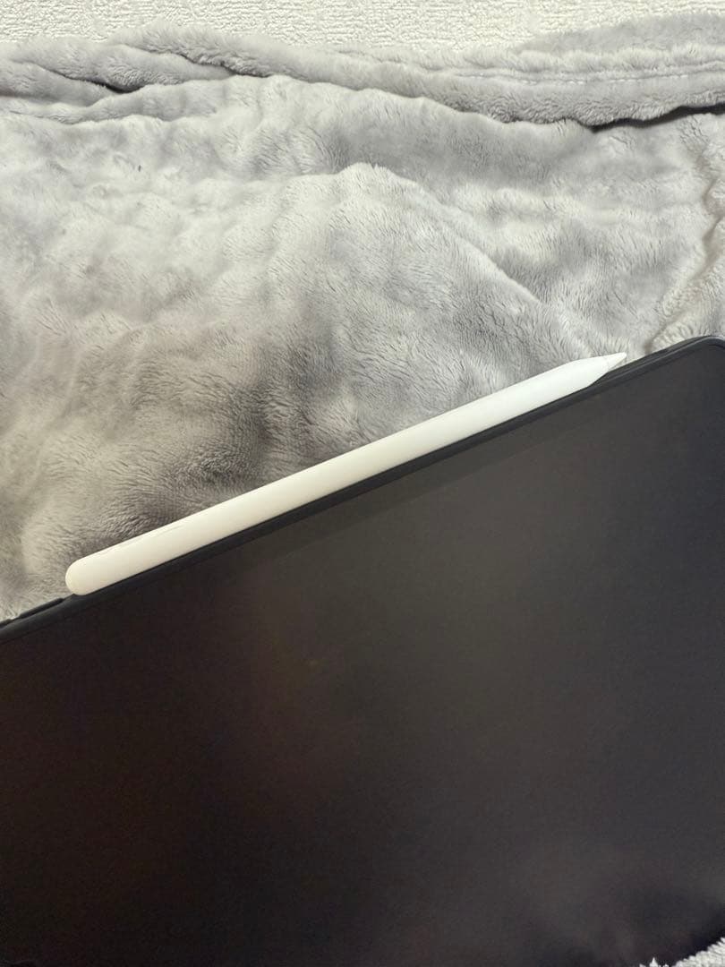 『はまさん専用』iPadPro + ApplePencil