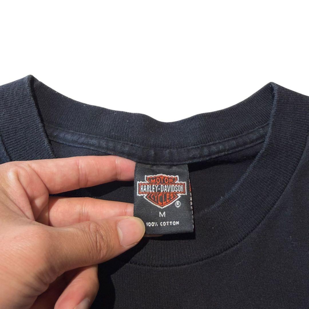 激レア ハーレー ペガサス サンダー ロンT 90s フレイム スパイダー