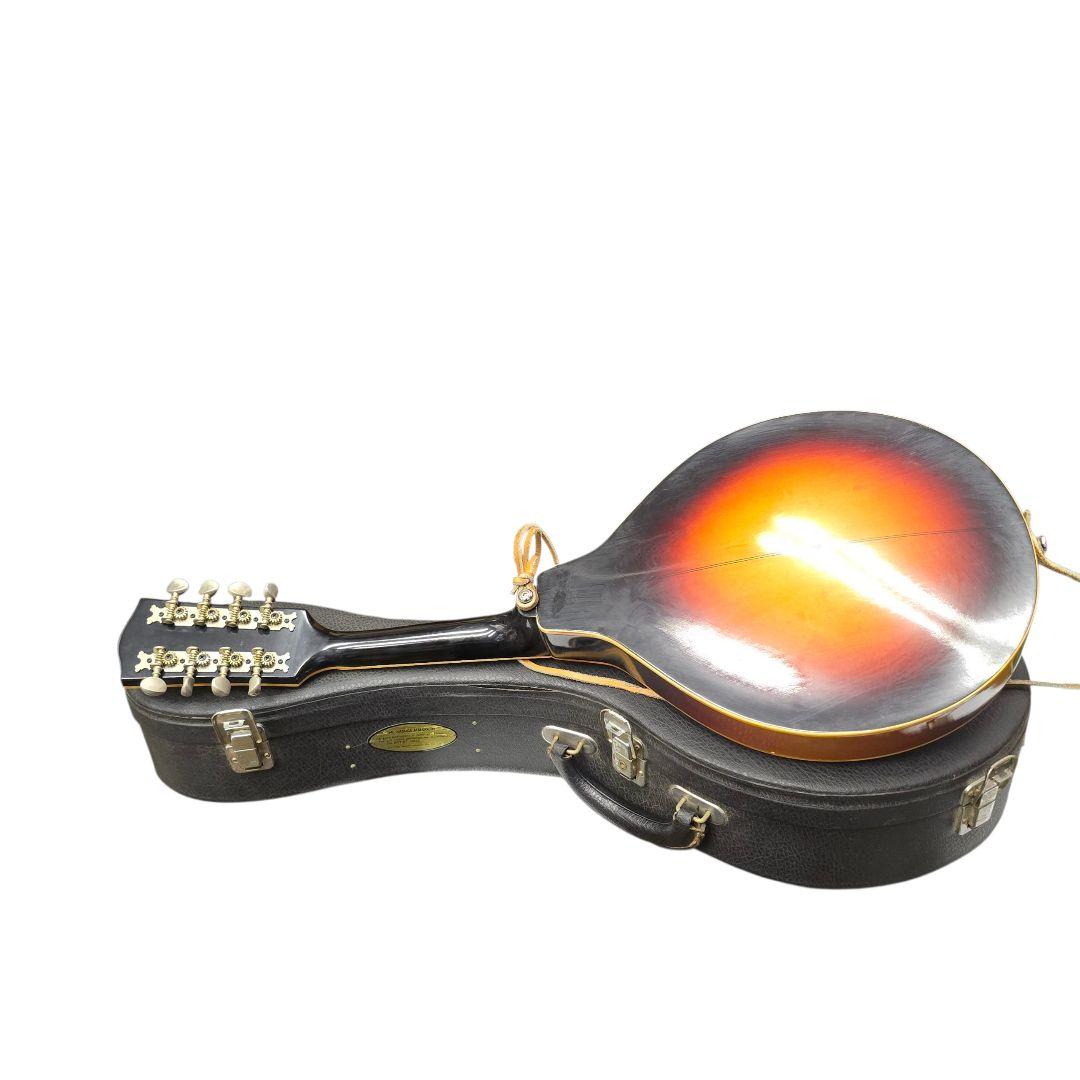 値下げjumbo ジャンボ フラットマンドリン ハードケース付