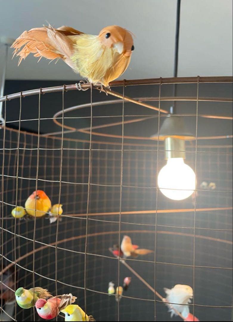 専用　コンランショップ　LA VOLIERE SHADE GRANDE ライト