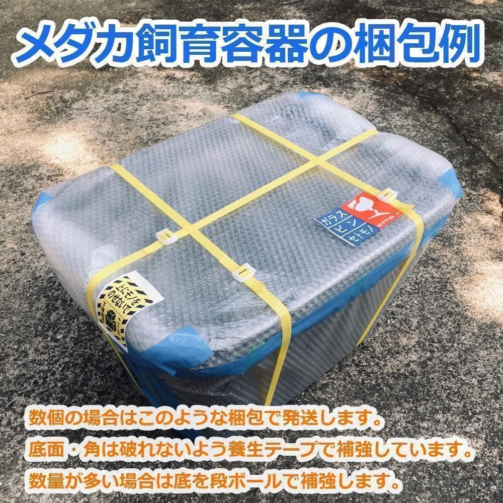 メダカ飼育ケース 36㍑x4個（4色あり）オーバーフロー付 金魚容器 ビオトープ