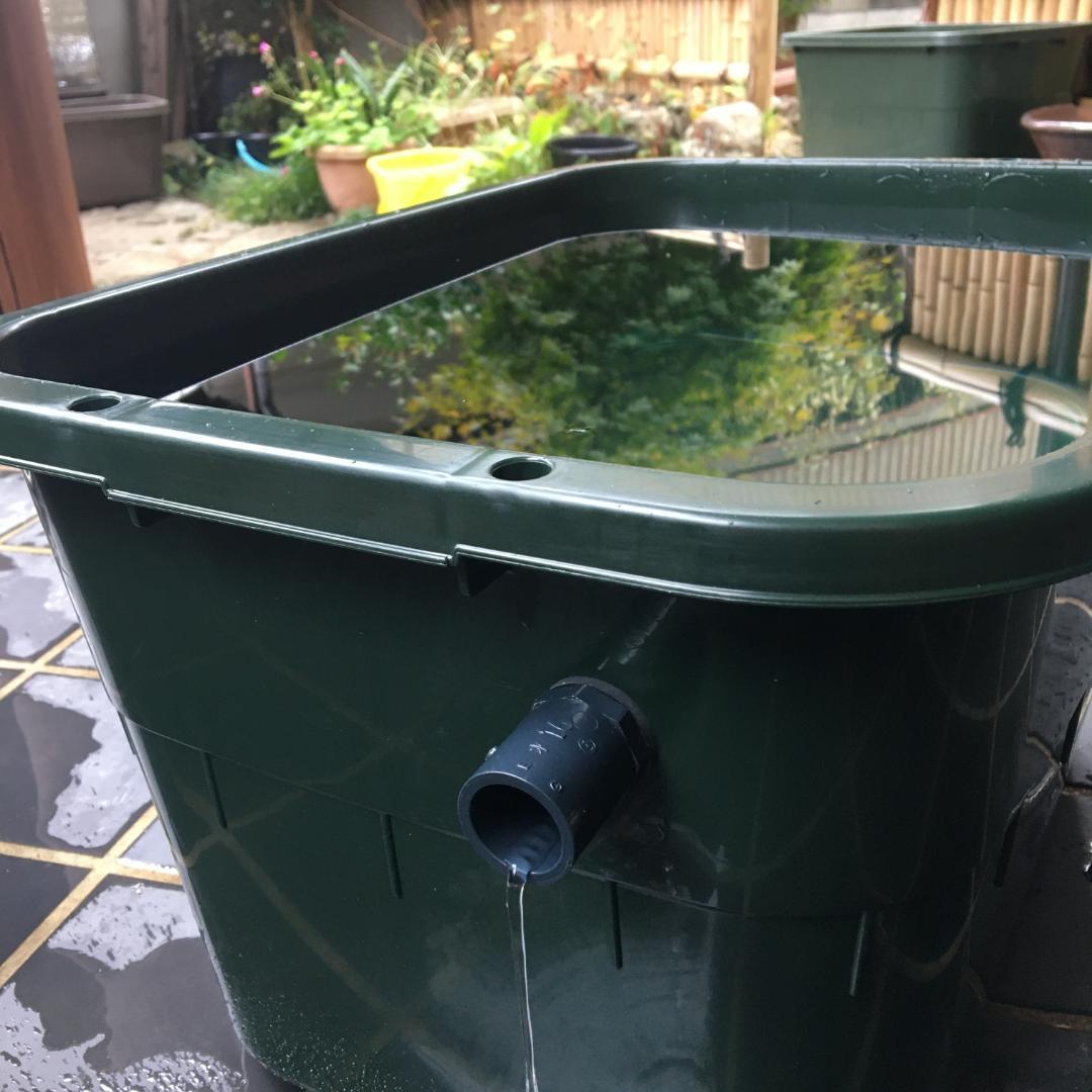 メダカ飼育ケース 36㍑x4個（4色あり）オーバーフロー付 金魚容器 ビオトープ