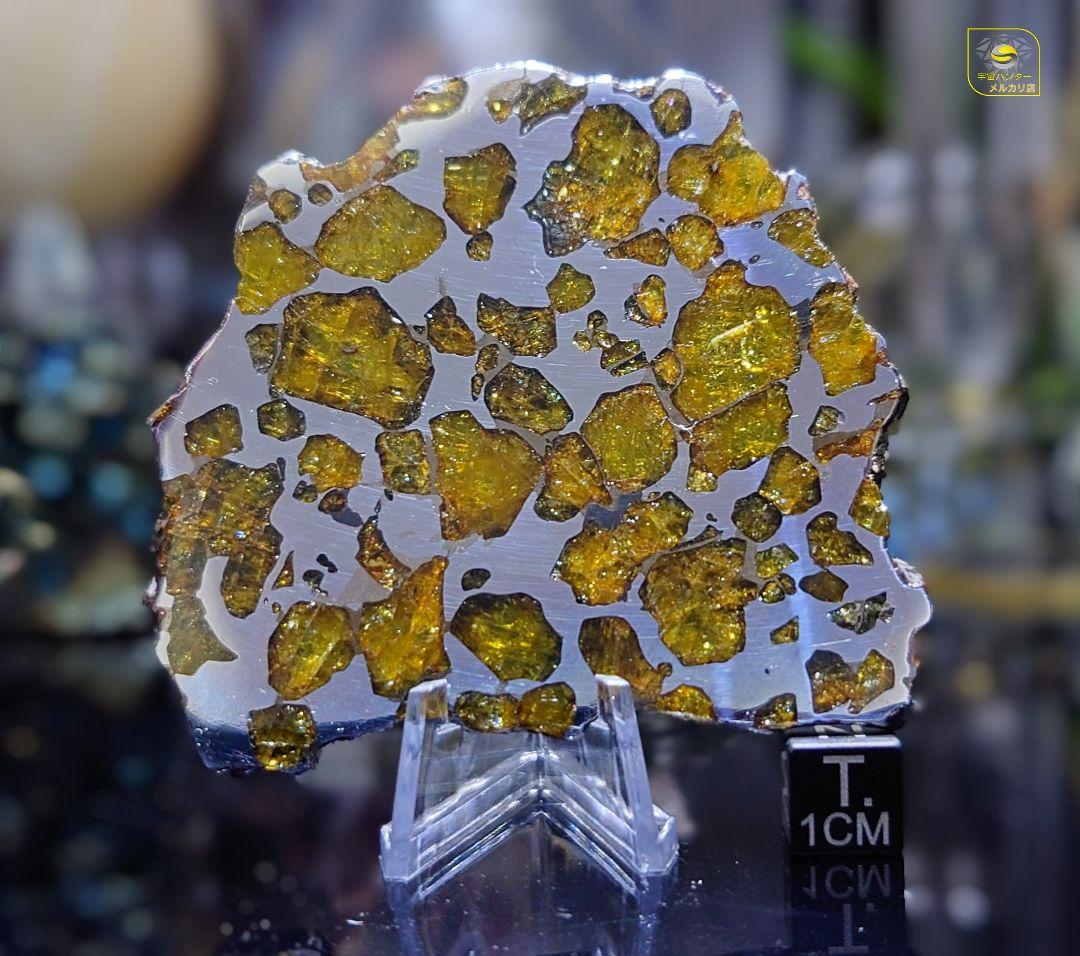 ★51.38g イミラック パラサイト 隕石 Imilac⭐⭐⭐