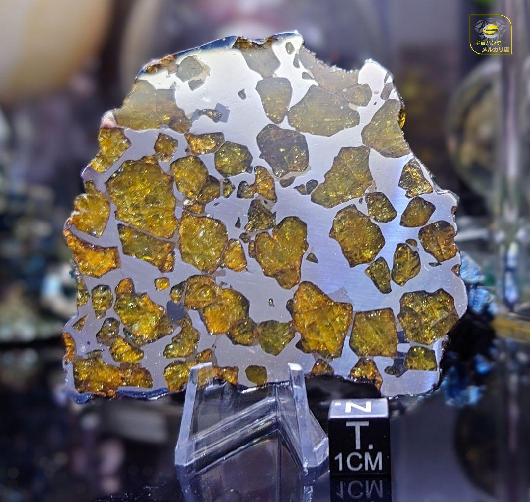 ★51.38g イミラック パラサイト 隕石 Imilac⭐⭐⭐