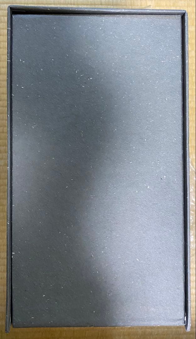 ENTERBAY チャイニーズ・ゴースト・ストーリー/レスリー・チャン