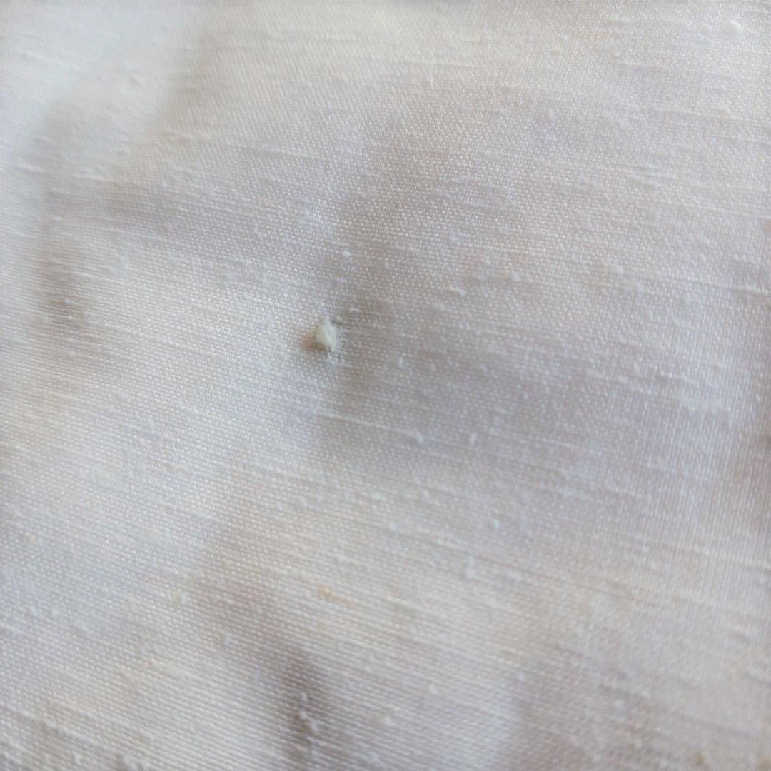 茨城県 結城紬 白無地 反物 未使用品 手織り 正絹