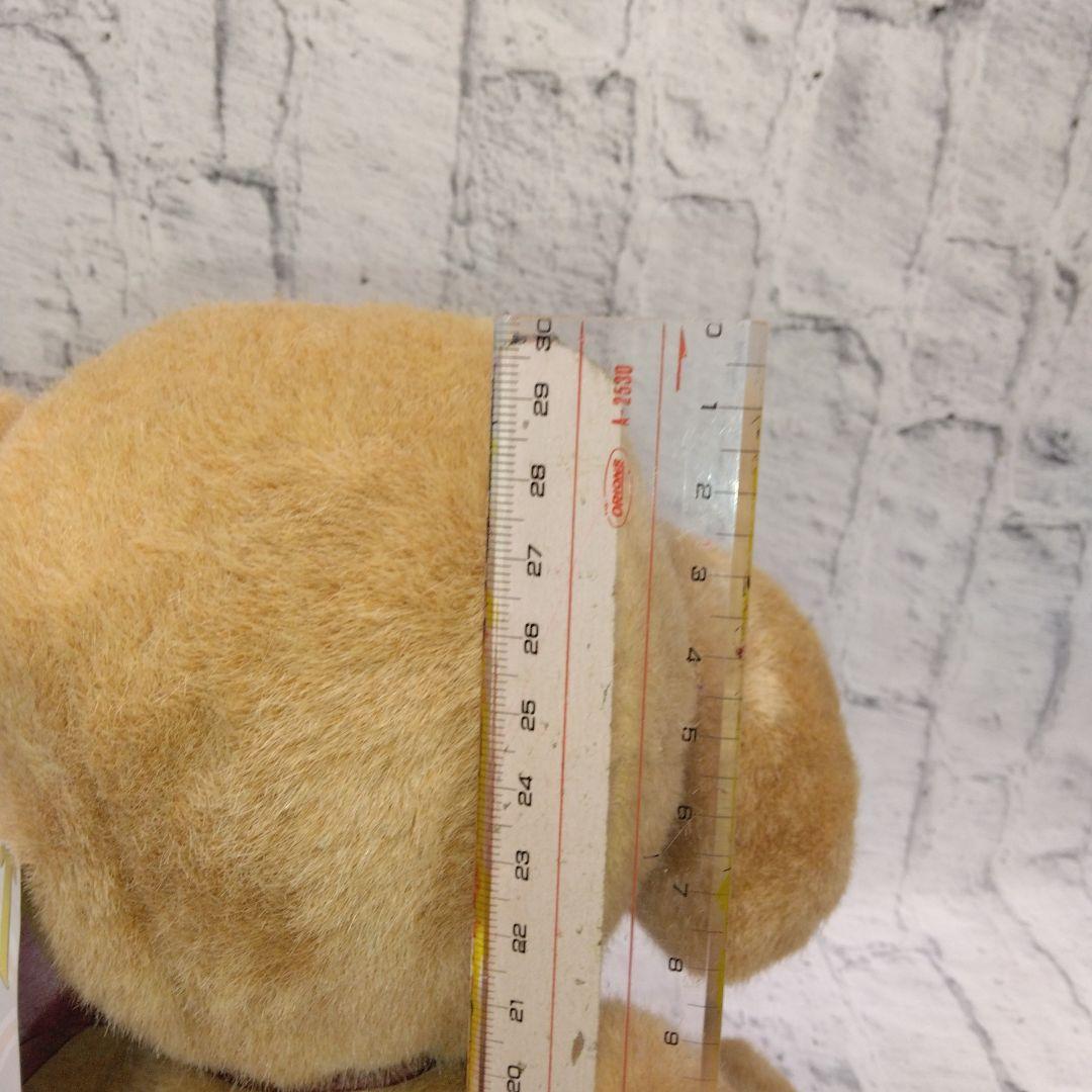 希少モデル　メリーソートビッグサイズチーキー