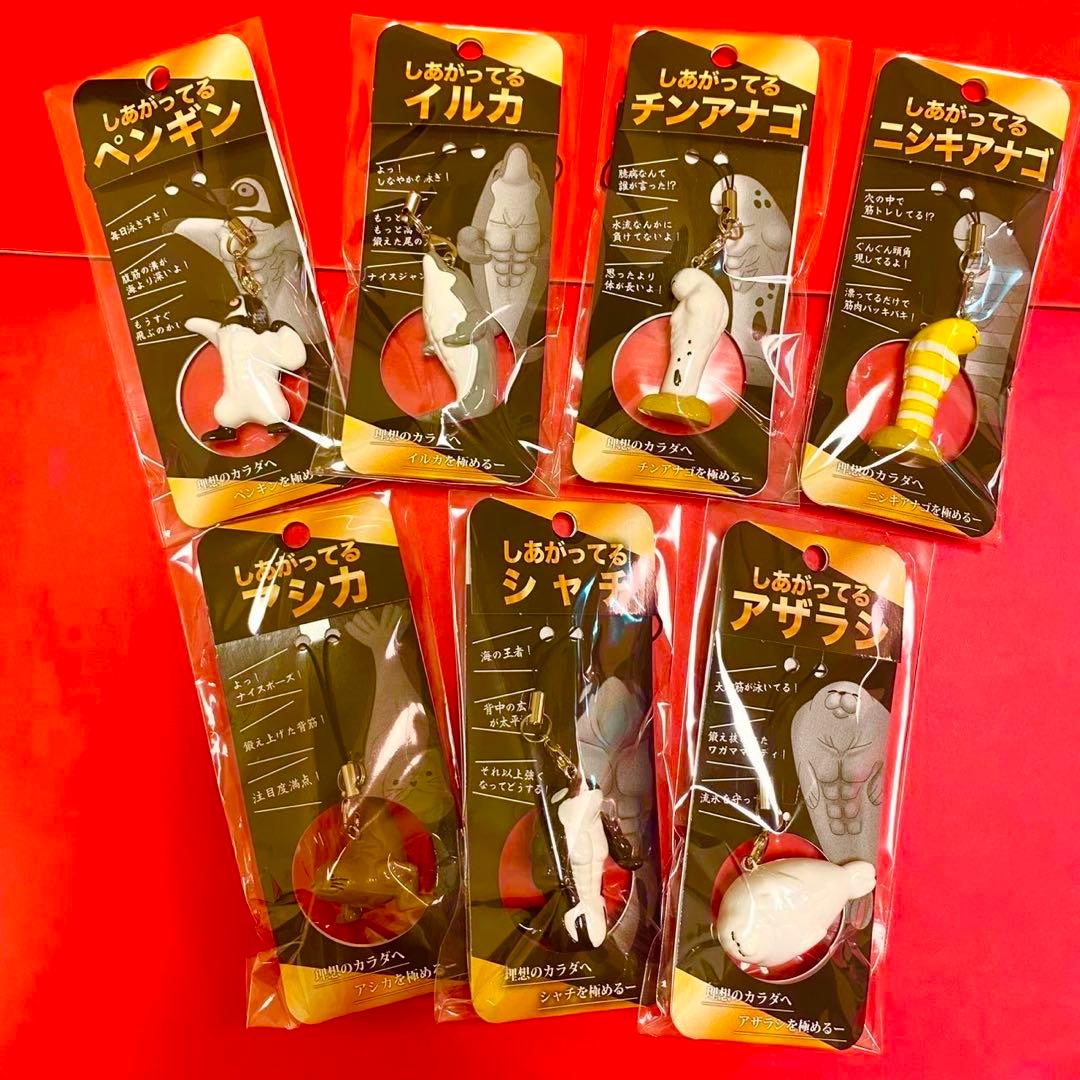 【須磨シーワールド】さらにしあがってるシャチの仲間たち　岩本照　スノーマン　7点