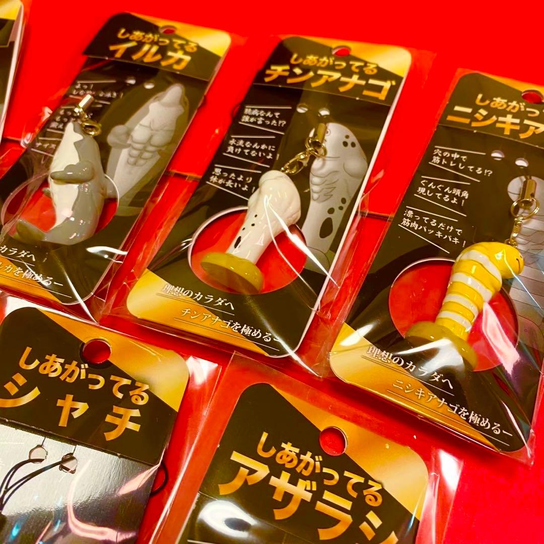 【須磨シーワールド】さらにしあがってるシャチの仲間たち　岩本照　スノーマン　7点