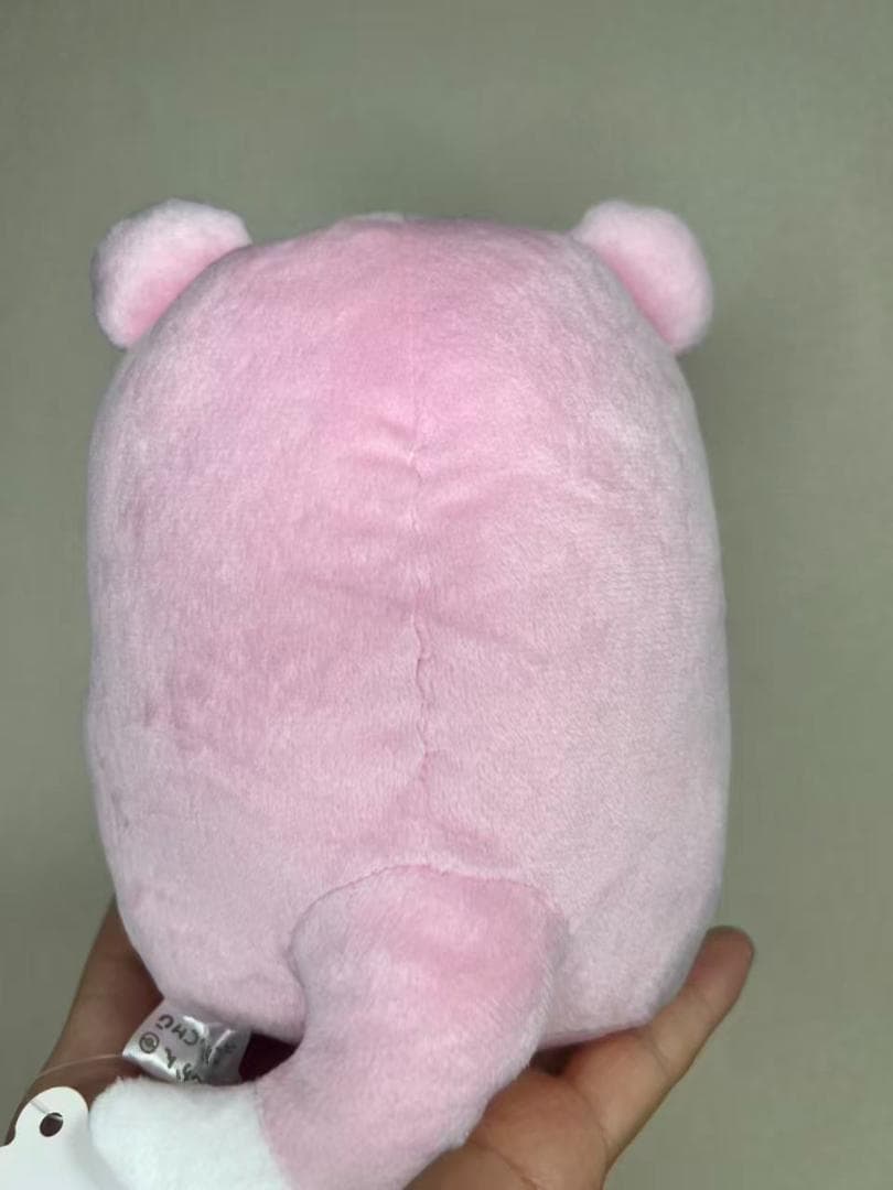 新品タグ付き ヤドン 24じかんポケモンCHU ぬいぐるみ ナガノコラボ【レア】